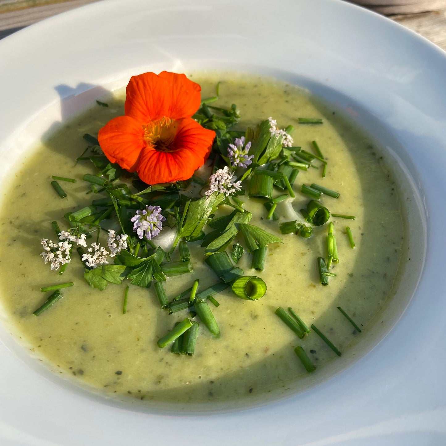 Courgettesoeppakket