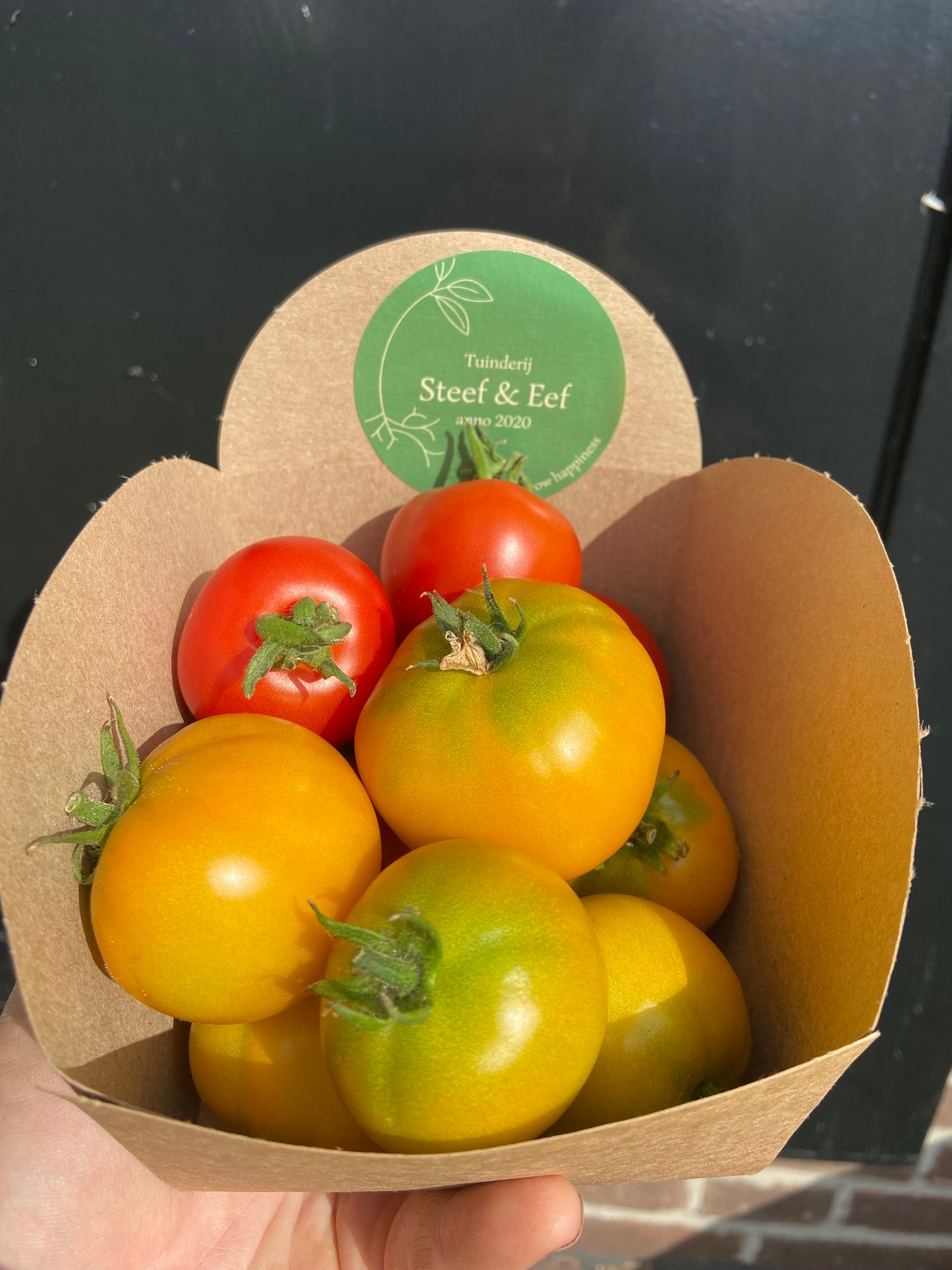 (Snack)Tomaten