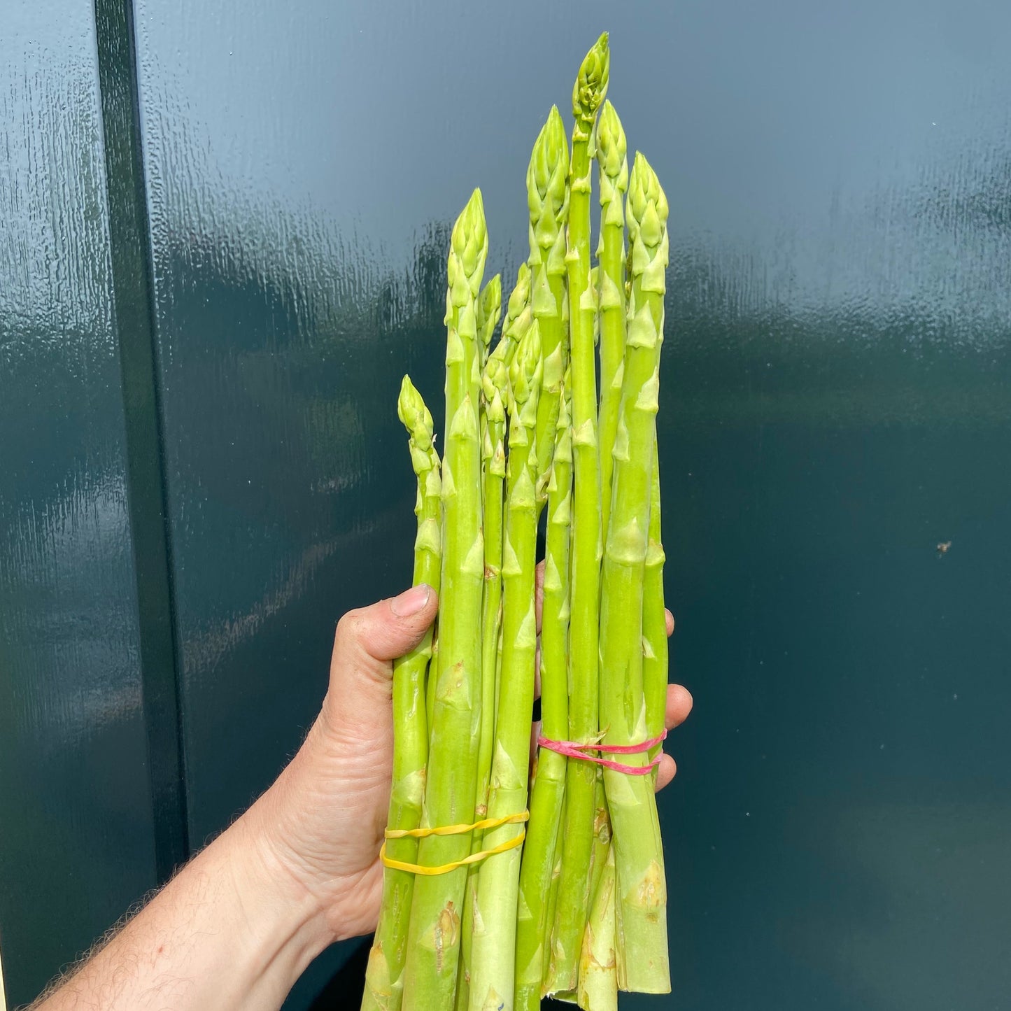 Groene asperges (250g, Schevichoven, alleen vrijdag/zaterdag beschikbaar)