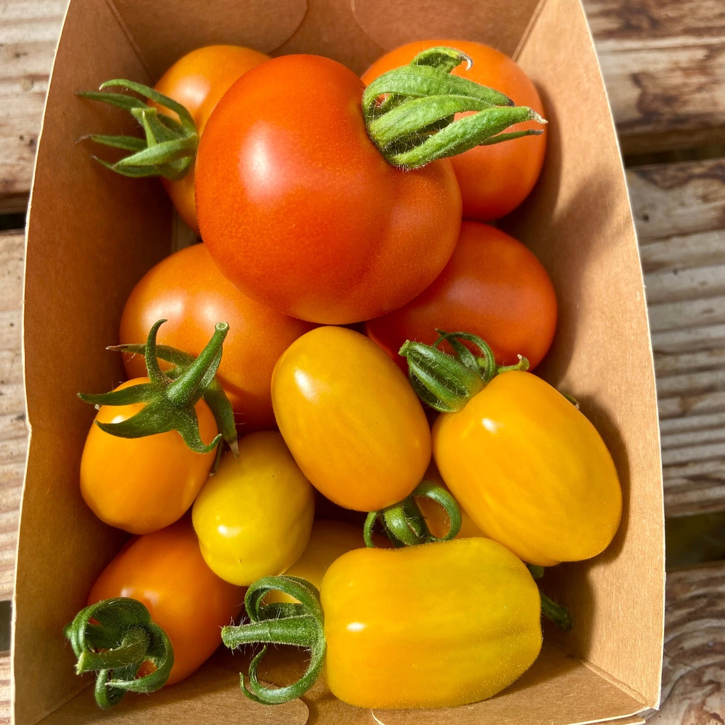 (Snack)Tomaten