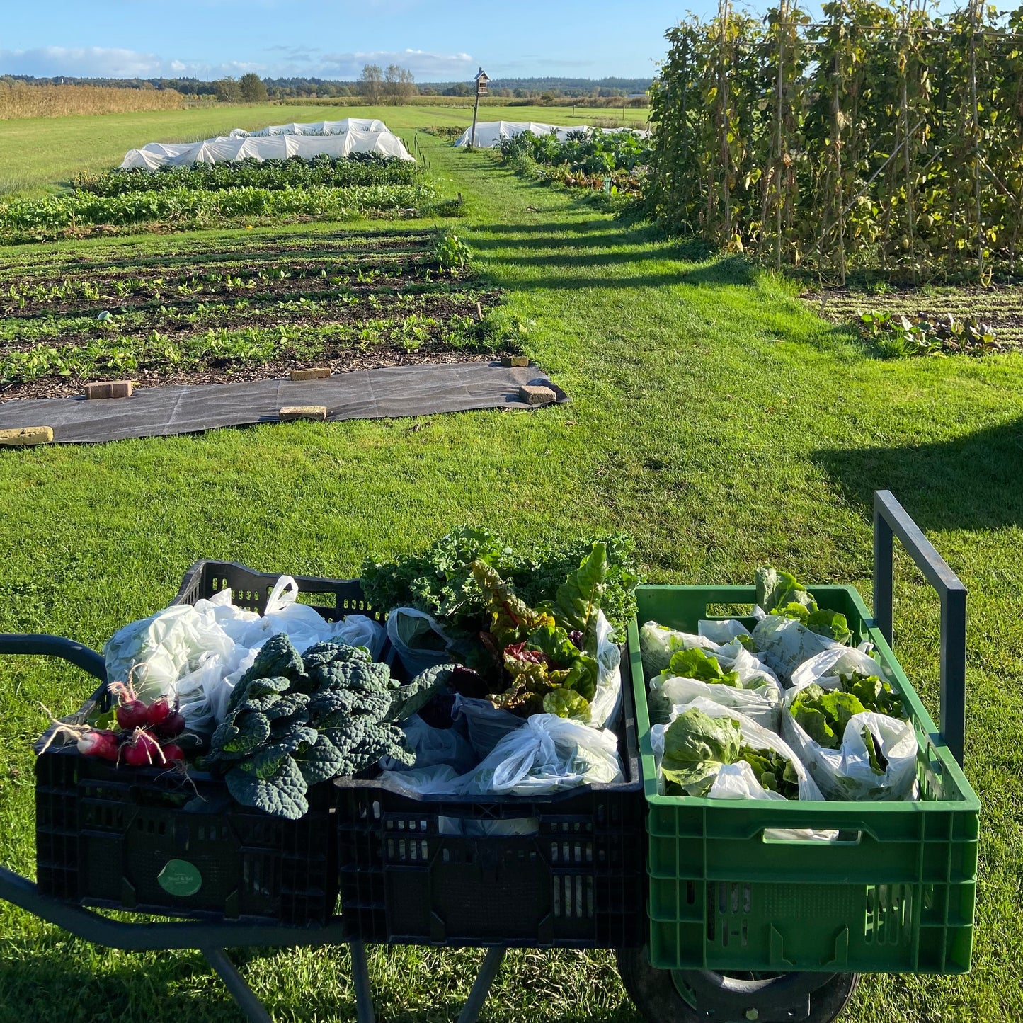 Winter Oogsttas (UITVERKOCHT)