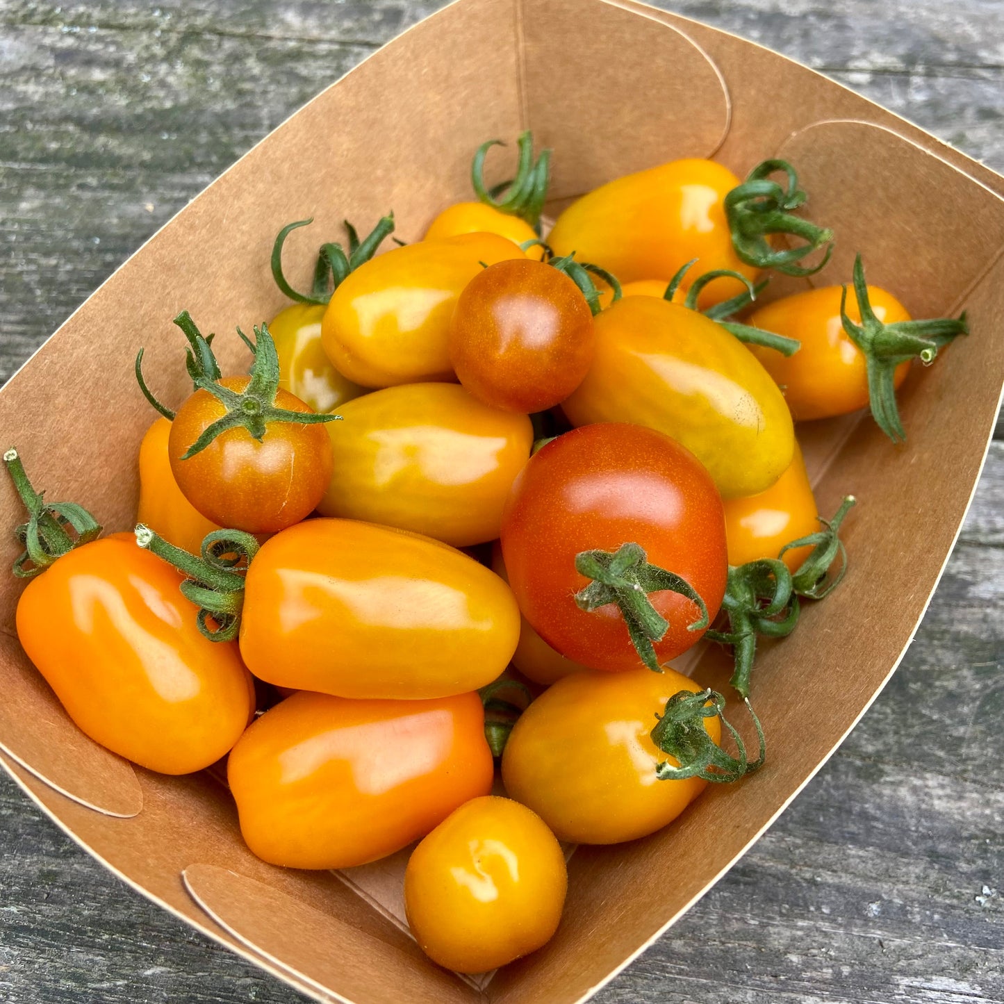 (Snack)Tomaten