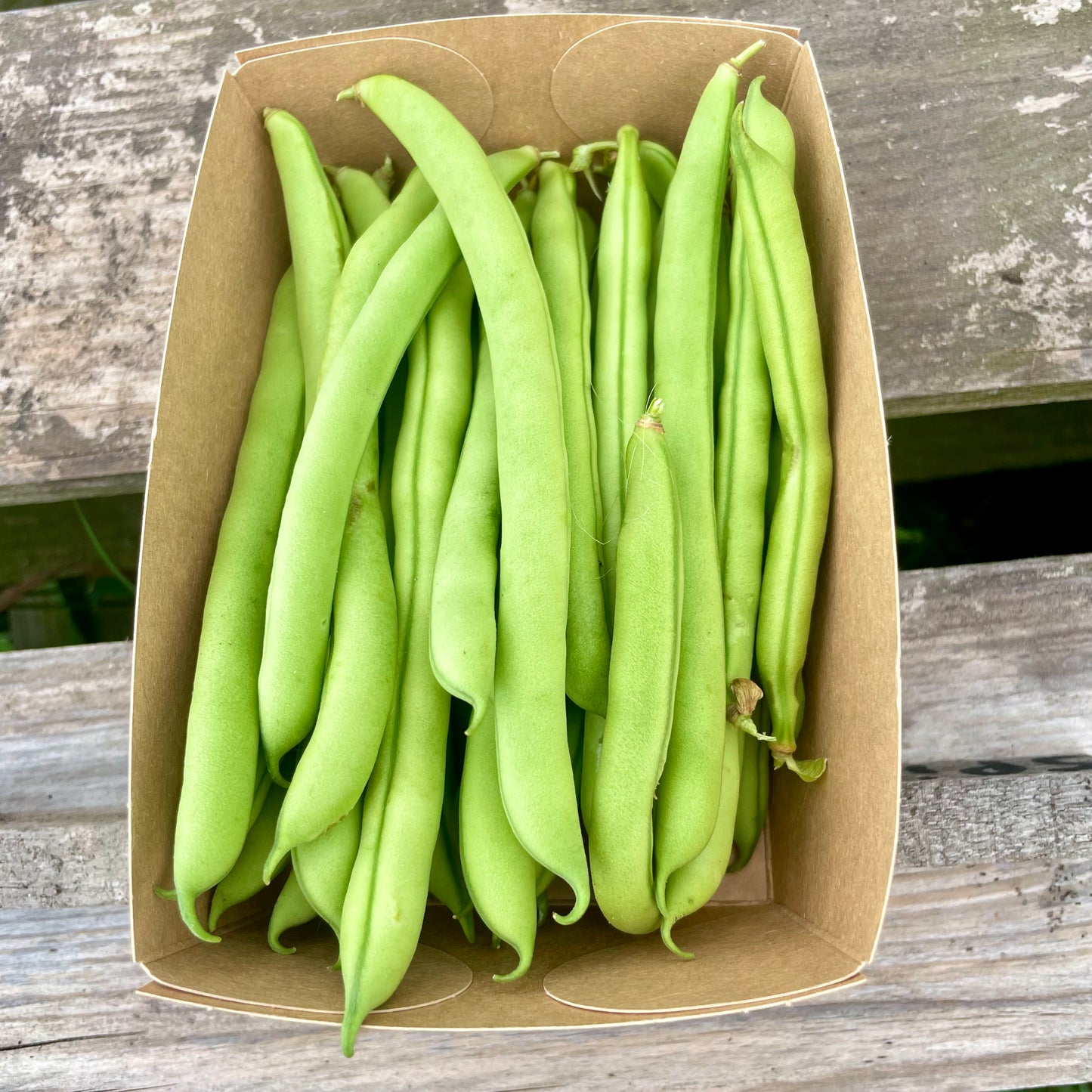 Sperziebonen (200g)