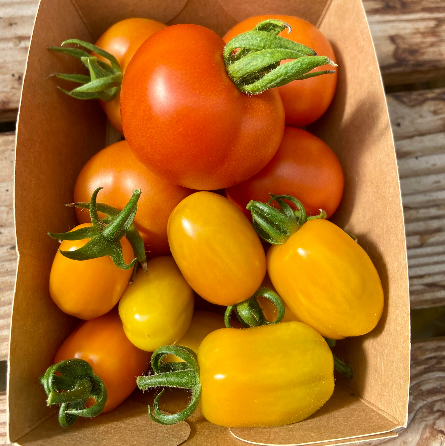 (Snack)Tomaten