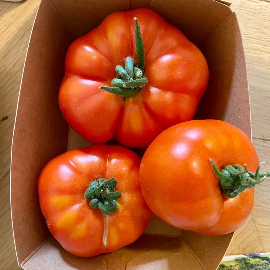 Tomaten (snack-, vlees- of gewoon formaat)