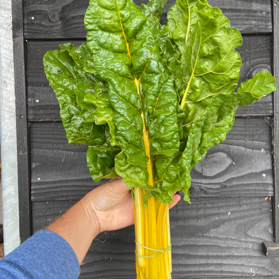 Snijbiet (bosje, ~300g)