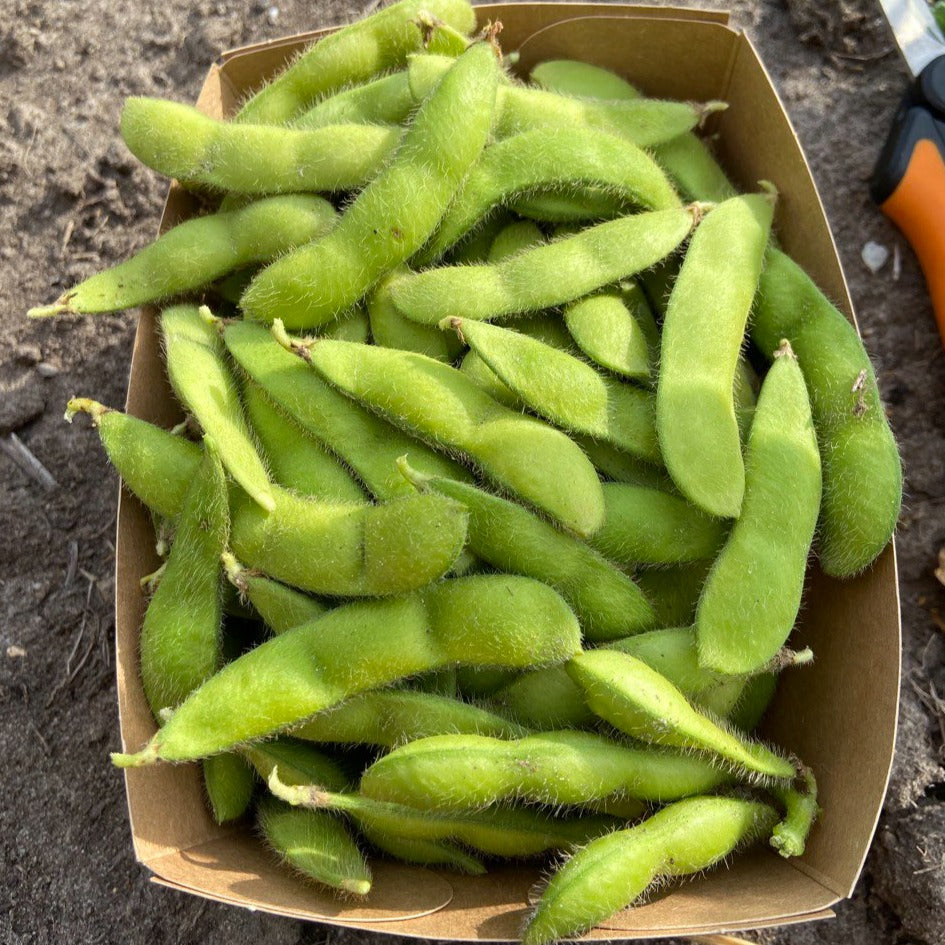 Edamame boontjes (150g)