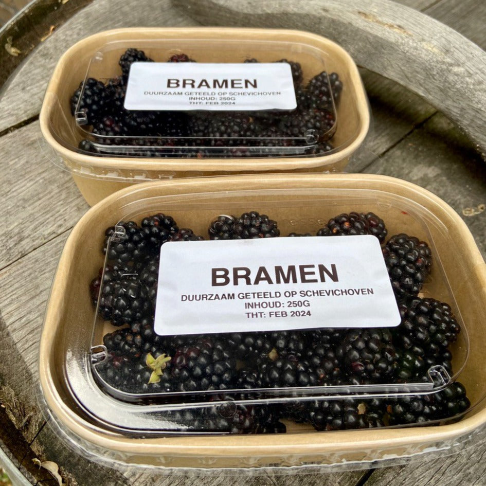 Bramen (bevroren, doosje 250g, Schevichoven)