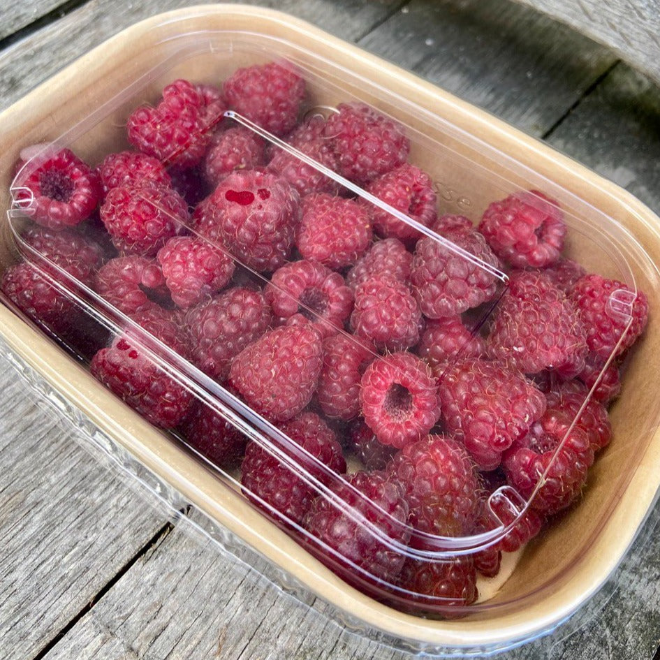 Frambozen (bevroren, doosje 250g, Schevichoven)