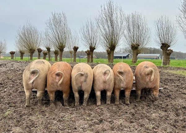 Tuinderij Vleespakket (4kg)