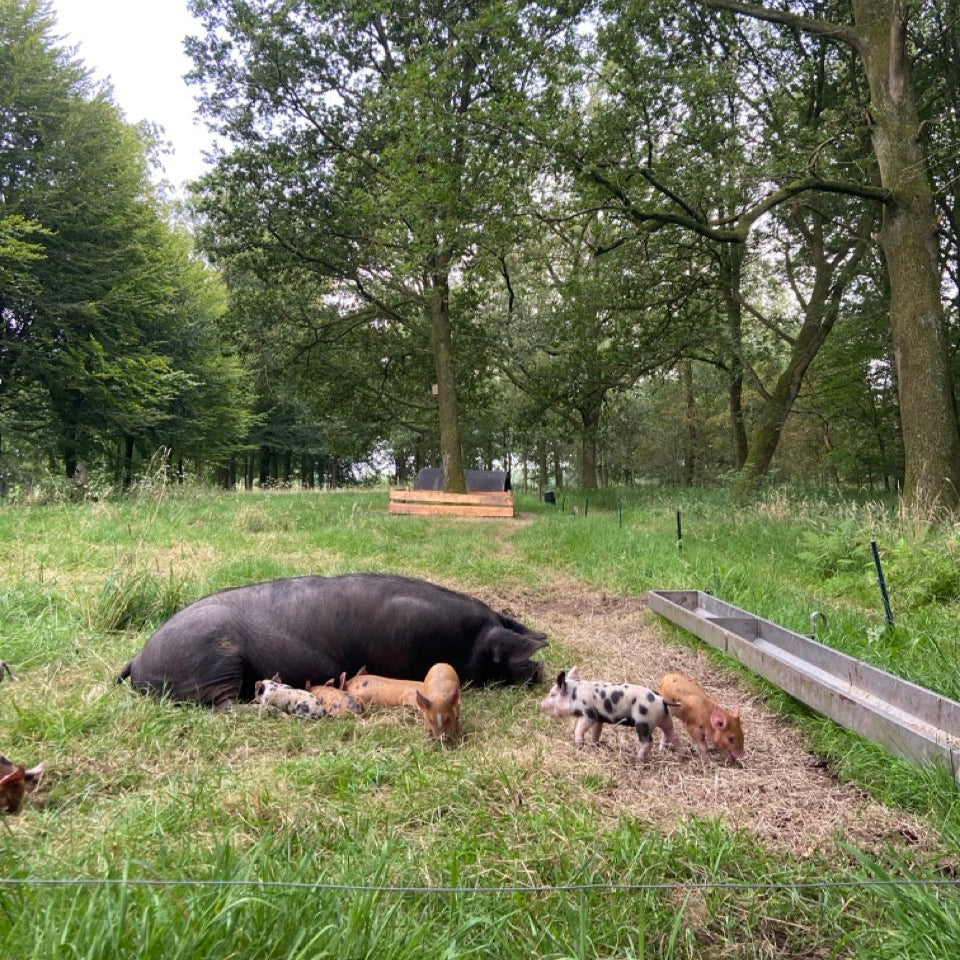 Vleespakket 'Wijkse Moestuin' (4kg, beperkt beschikbaar!)