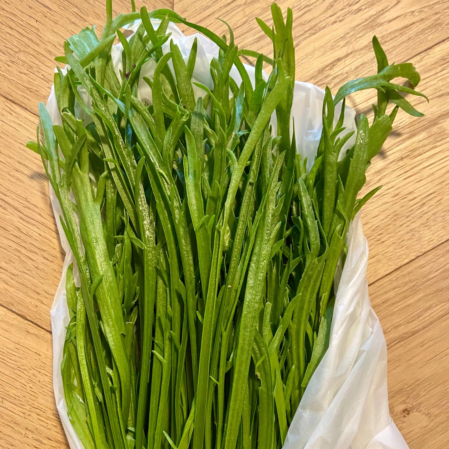 Landkraal (~75g)