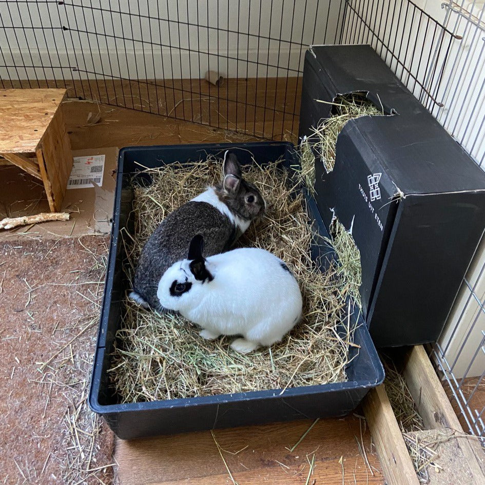 Hooibaal (natuurhooi, ~20kg)