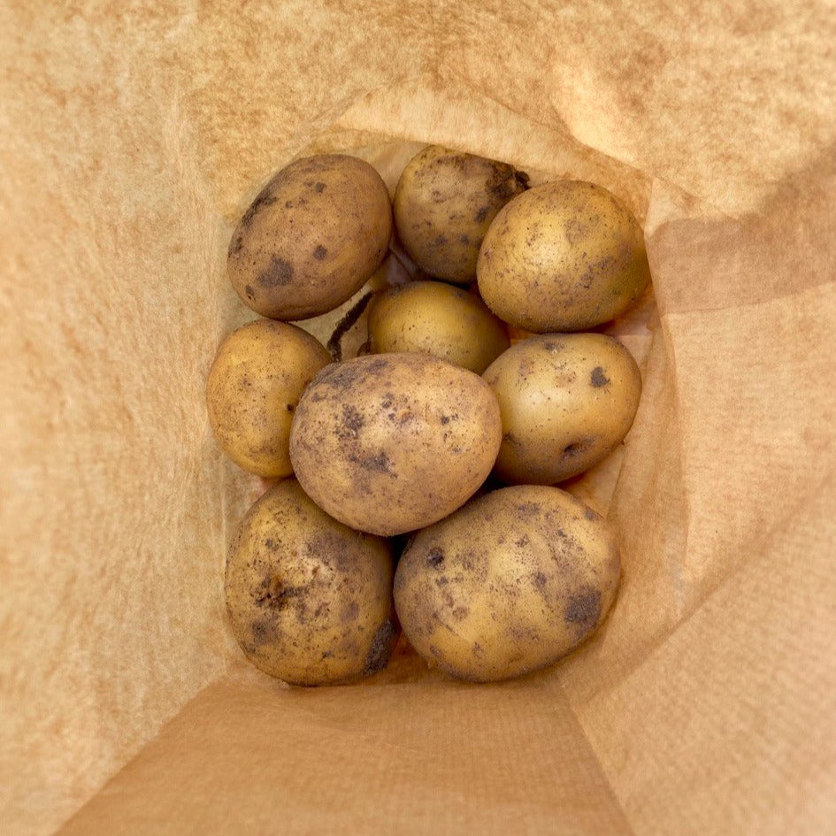Aardappelen nieuwe oogst! (Levante & Connect!)