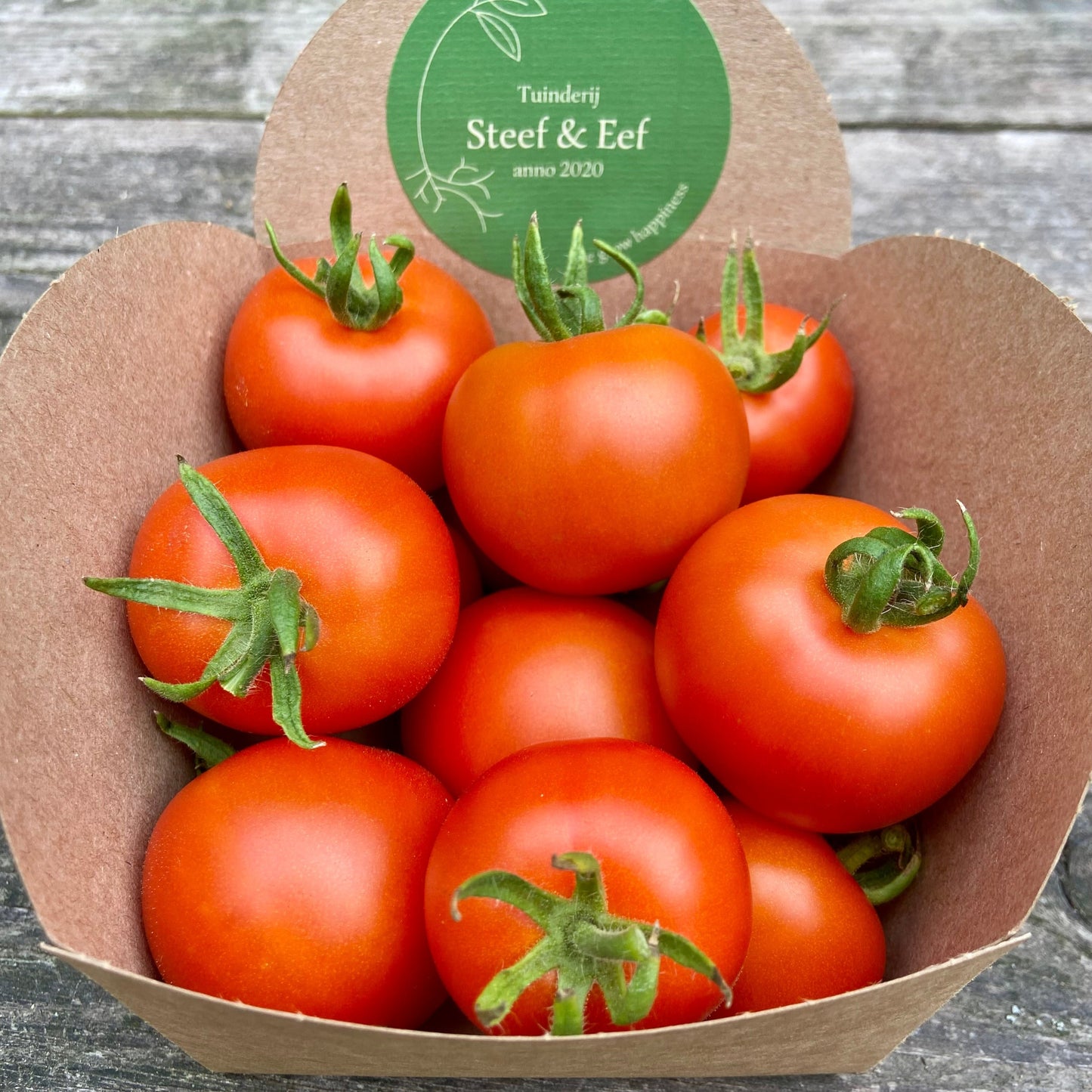 (Snack)Tomaten