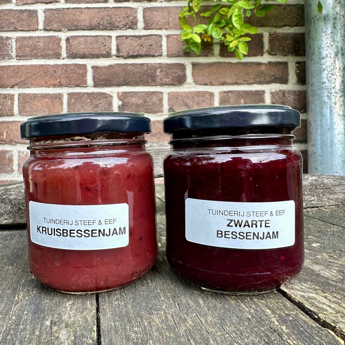 Jam duo