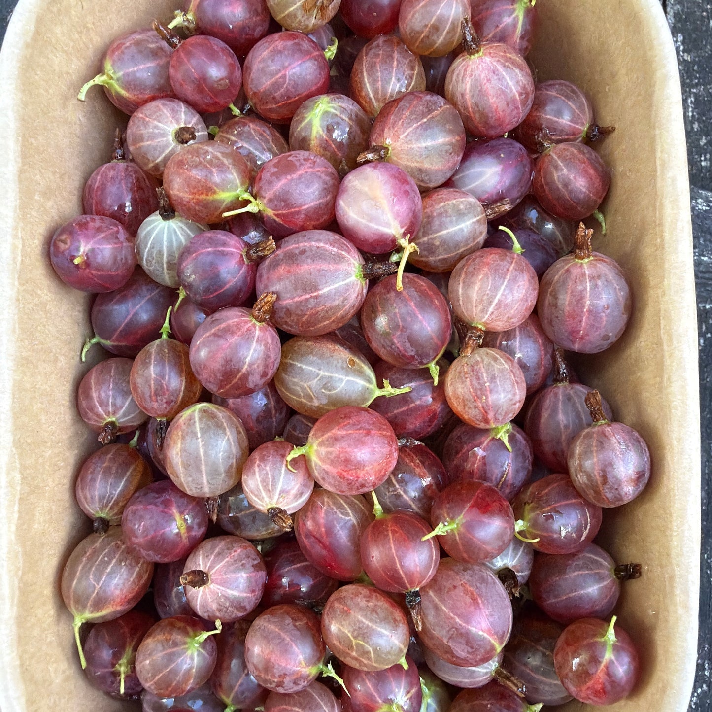 KruisBessen (300g, bevroren)