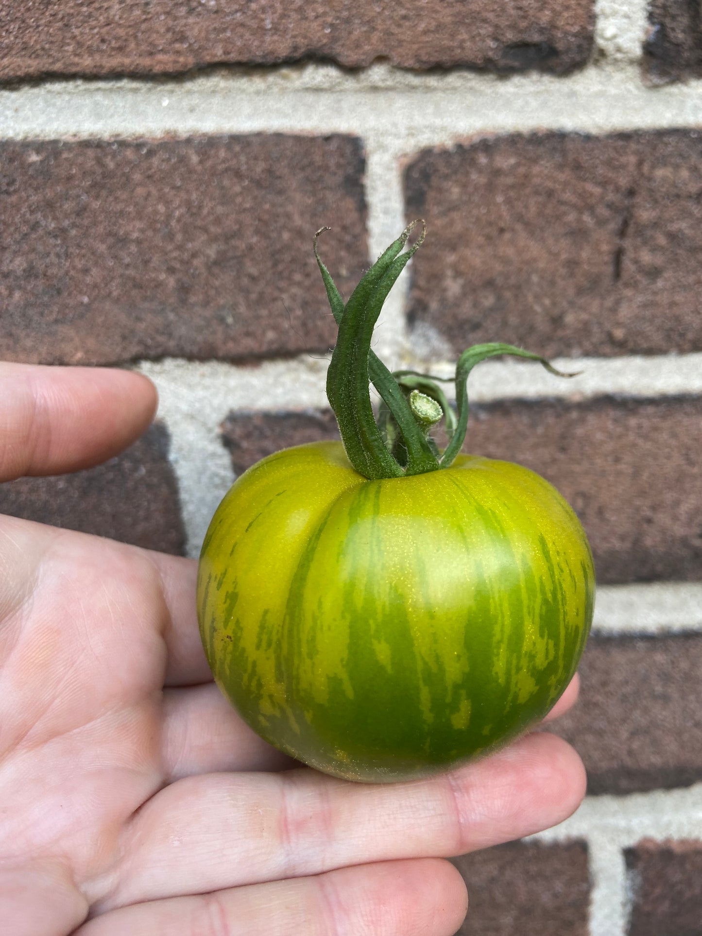 (Snack)Tomaten