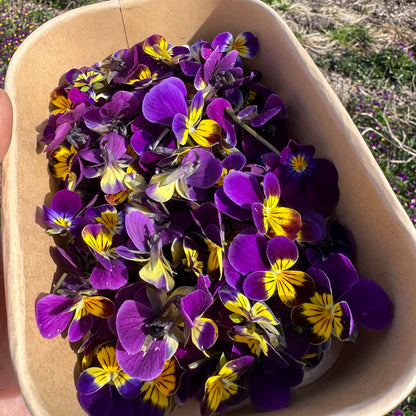 Eetbare bloemen (lentemix)