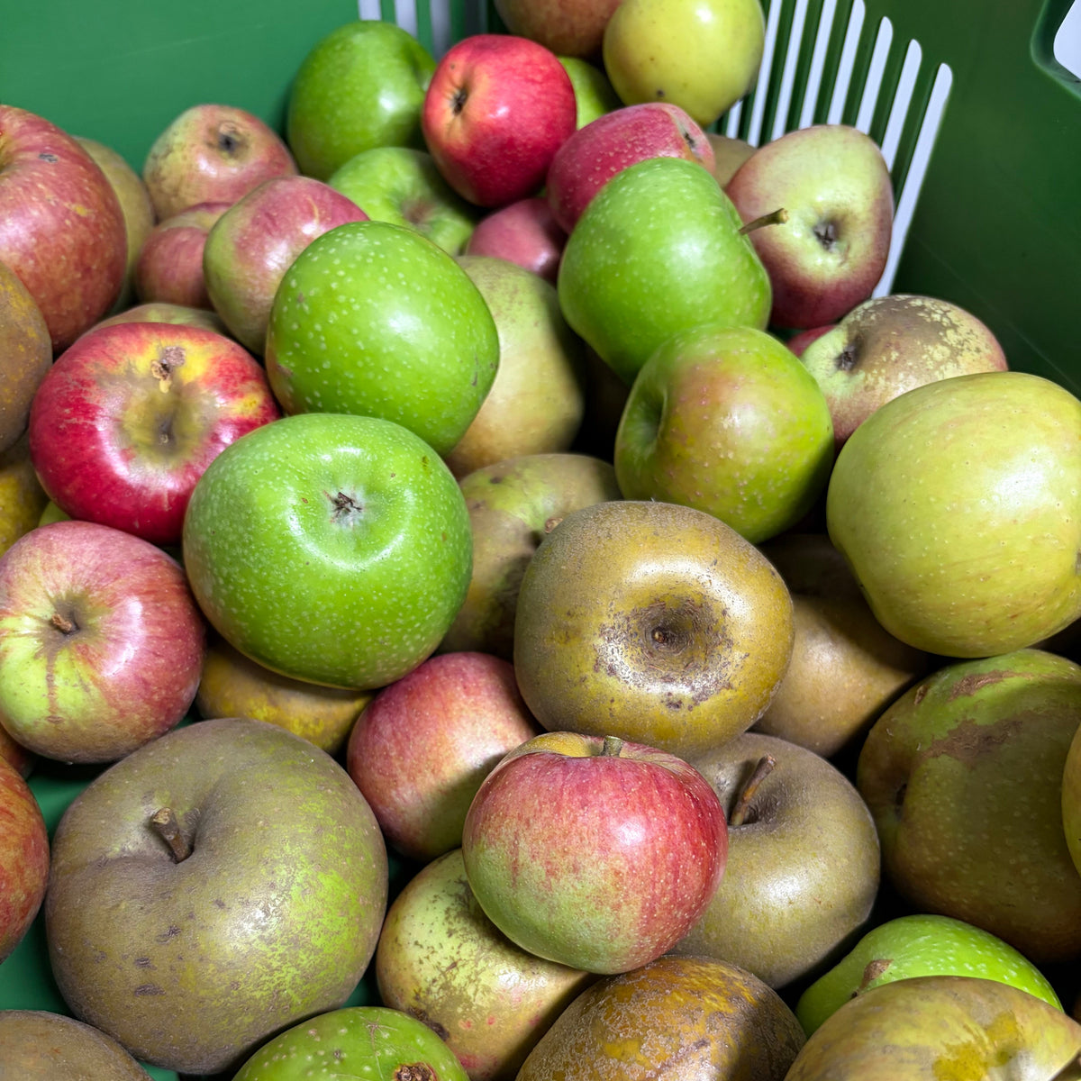 Gooyerdijkse oud-Hollandse appeltjes