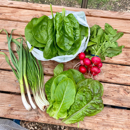 Groentetas Lente (verwacht begin april)