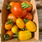 (Snack)Tomaten