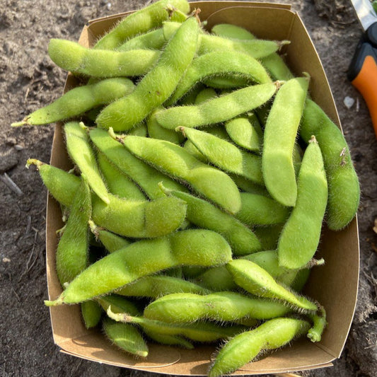 Edamame boontjes (150g)