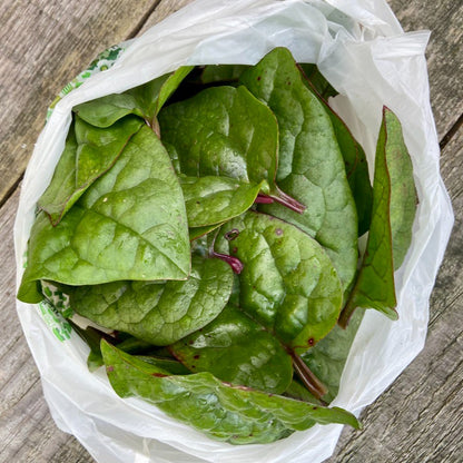 Malabar Spinazie (150g)
