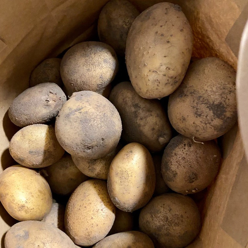 Aardappelen (Connect, 5kg)