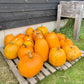 Halloween/soep pompoen (div formaten)