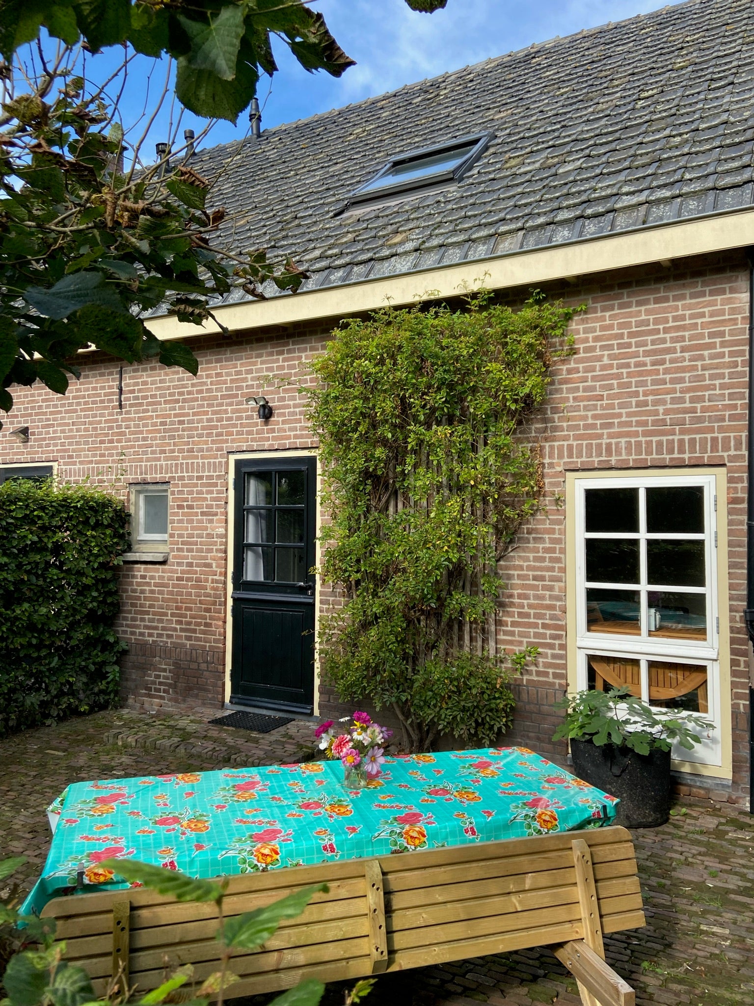 Boeren B&B – Tuinderij Steef En Eef