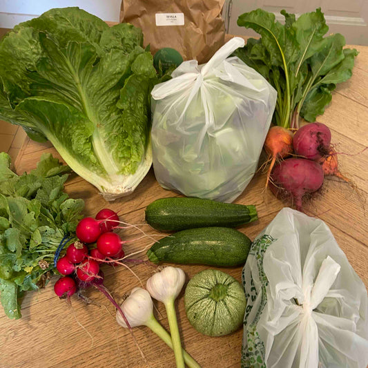 No Waste Groentetas (alleen op maandag en dinsdag)