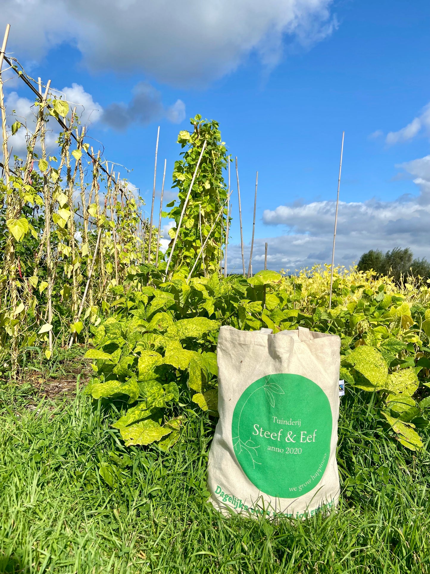 Cadeautas op maat (klein, middel of groot)