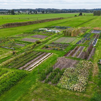 Gezinsrondleiding (max 6pers)