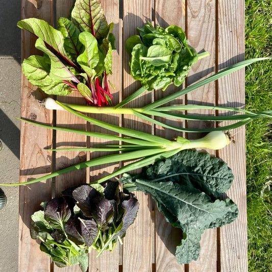 Roerbakgroentemix (vega of met saté)