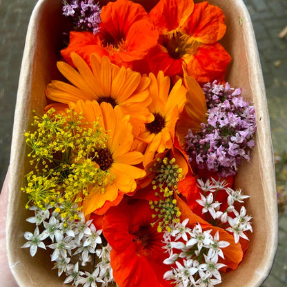 Eetbare bloemen (lentemix)