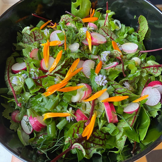 Saladepakket (vegan, met ei, of met vis)
