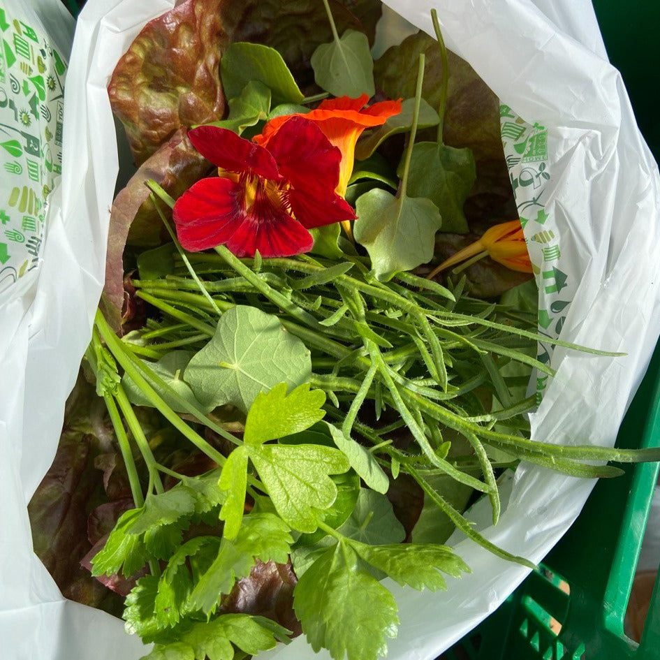 Pluksla (mesclun, 150g)