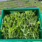 Raapstelen (150g)