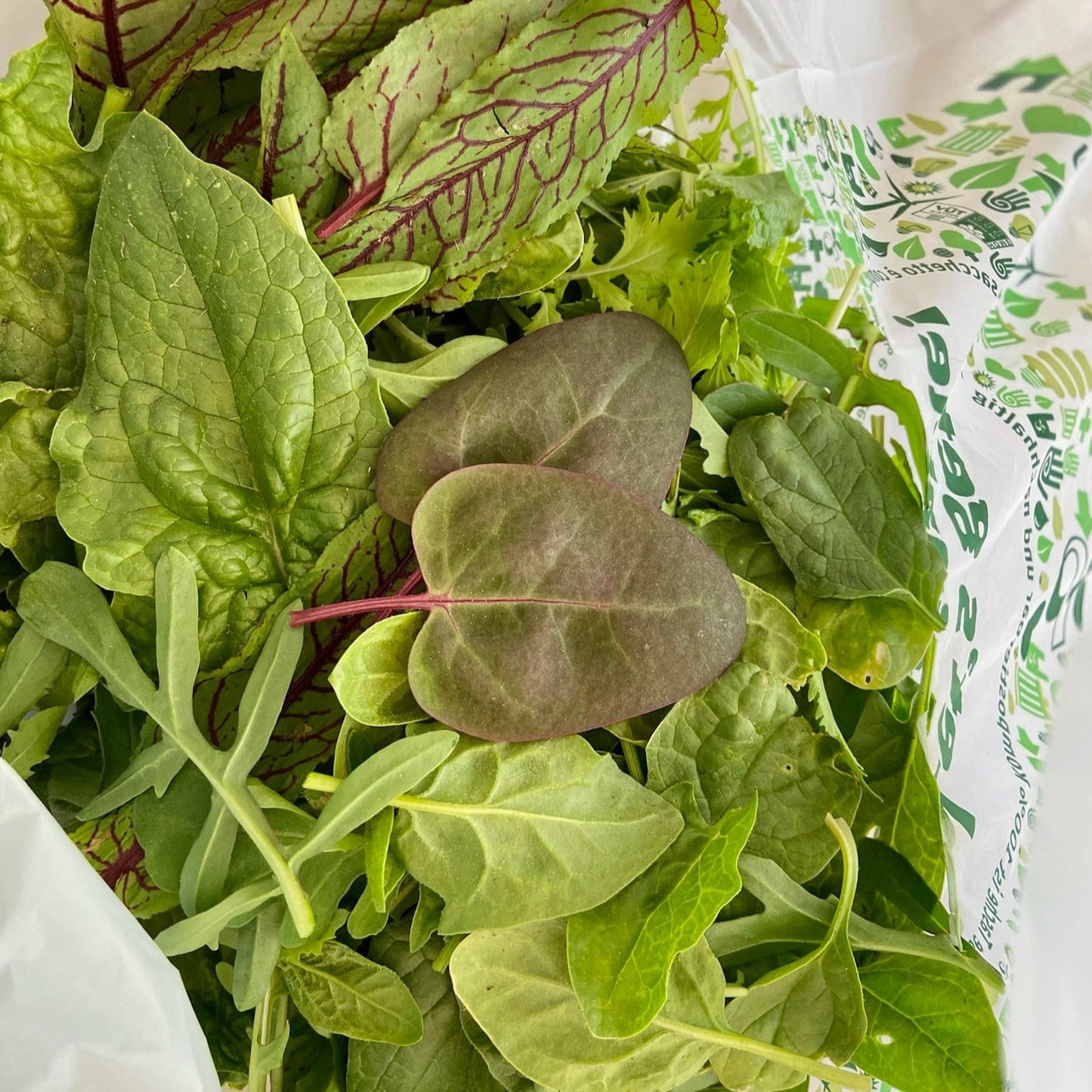 Pluksla (mesclun, 150g)