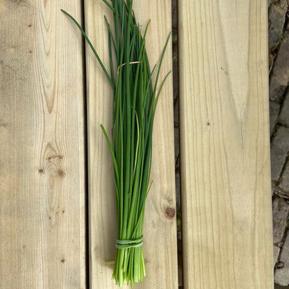 Verse kruiden 1 soort (diverse soorten, bosje ~20g)